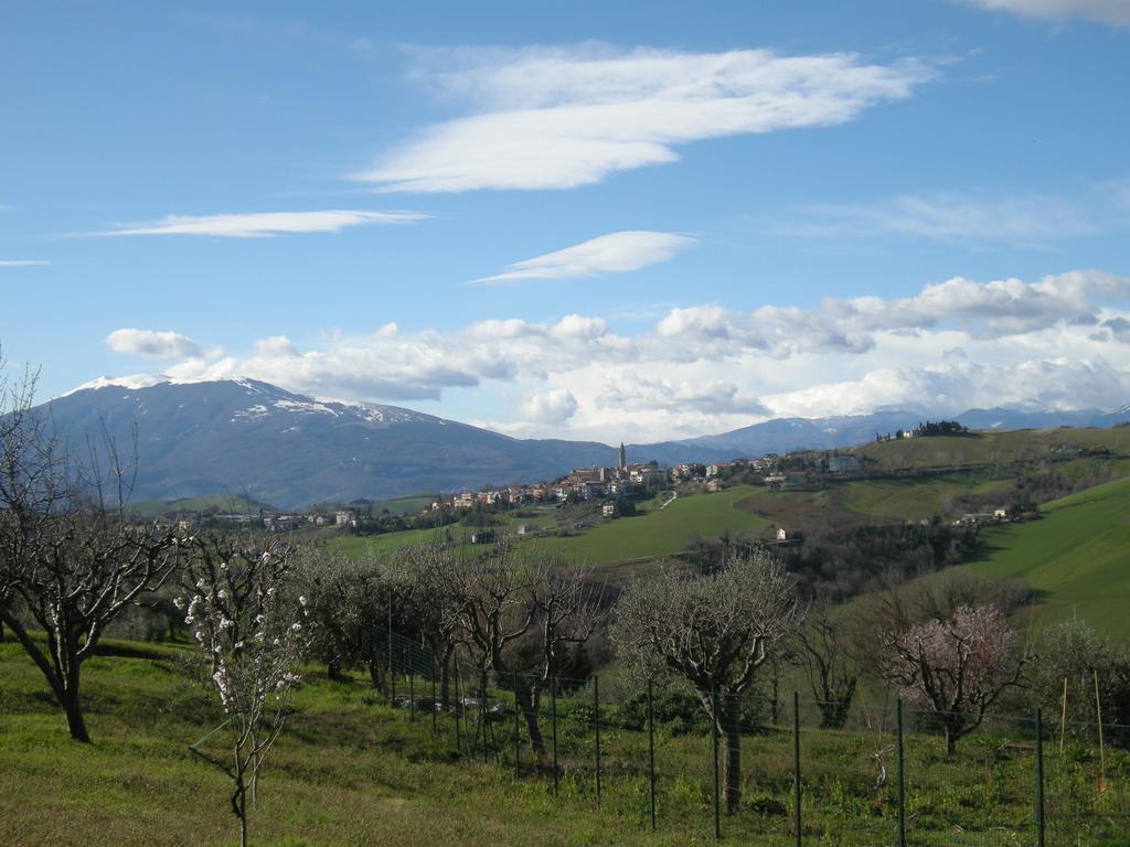 Bed And Breakfast San Martino Castignano Buitenkant foto